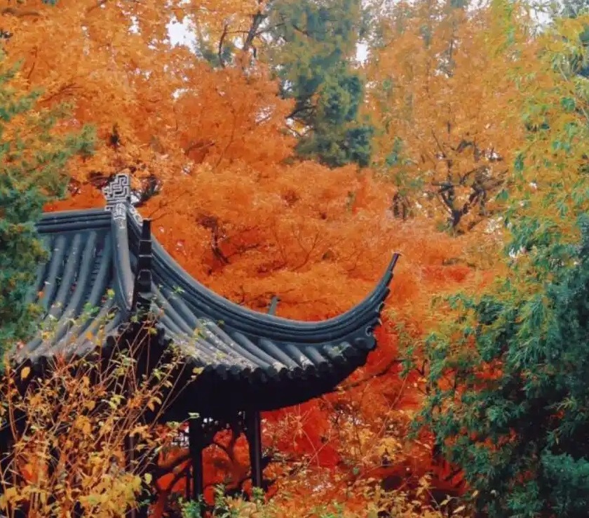 早，天凉好个秋，我这还很热！ ​​​