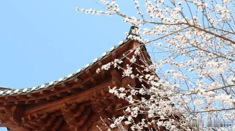 看透不说透，才是最顶级的善良
 
朋友聚餐，酒过三巡，老周端着酒杯站起来，满脸通