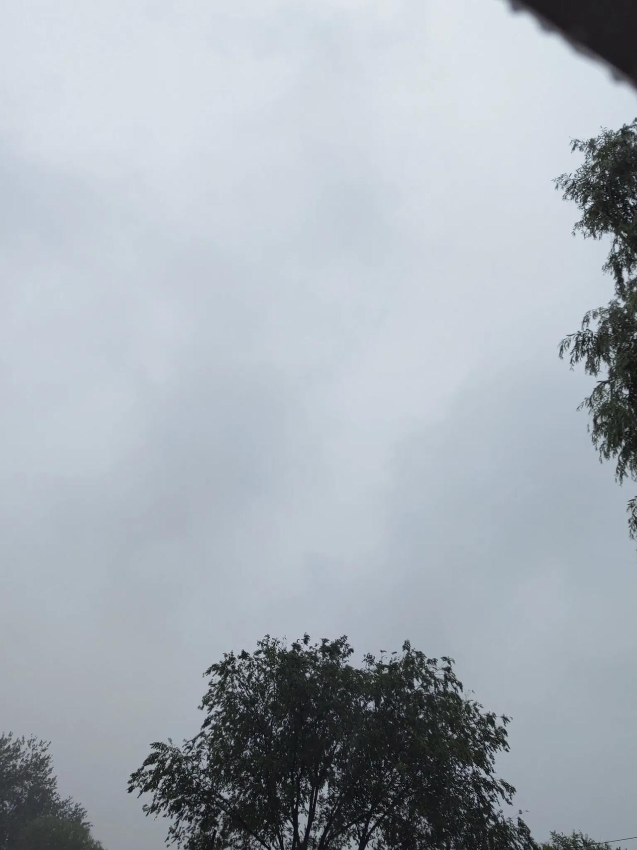 真是太不容易了，一场大雨让项目部管理人员遭了殃，这样玩下去妥妥的义务劳动了，但是