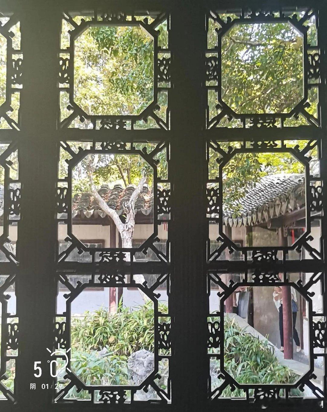 早安          天阴回暖了……     