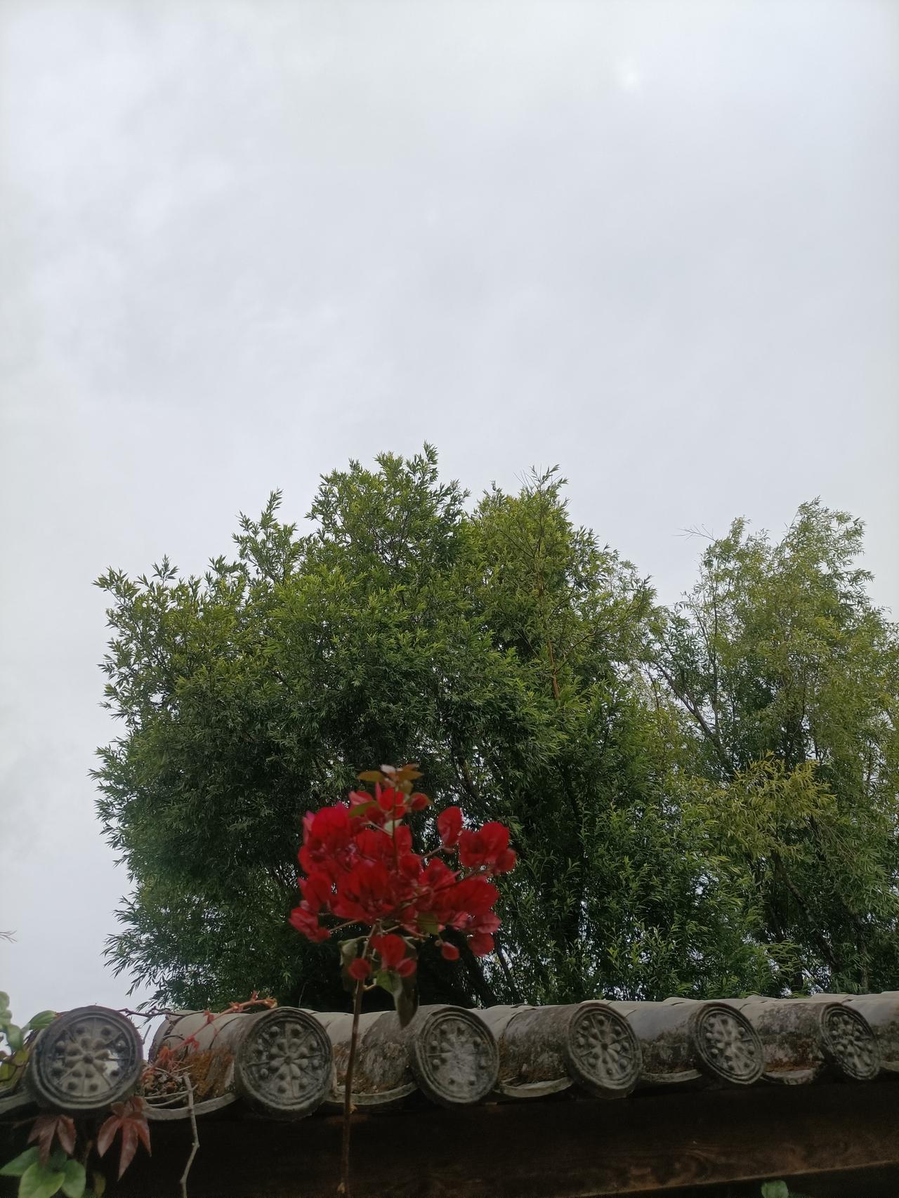 展现美景图片