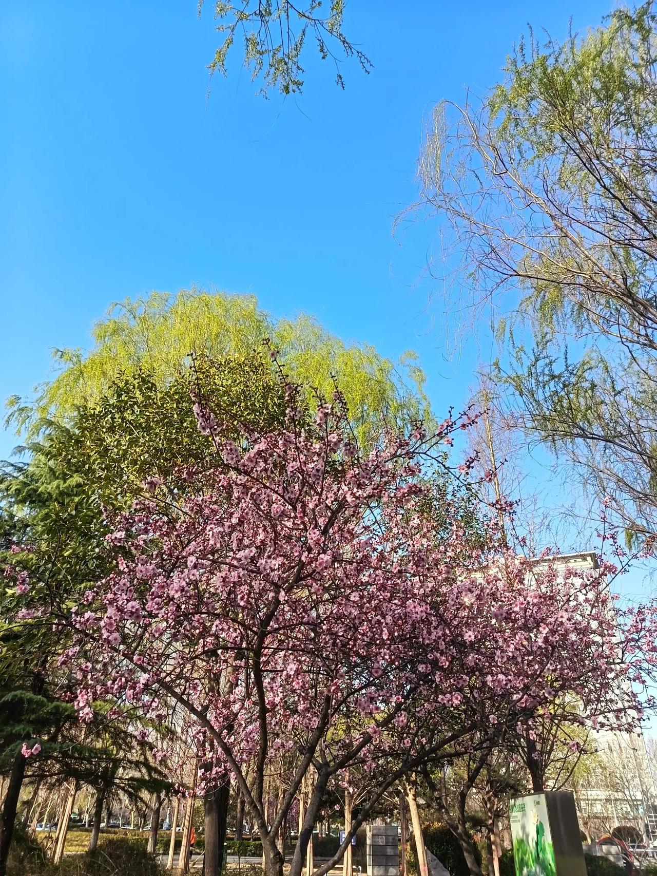 三月已经过了一多半，风终于变得轻柔，太阳开始温煦，大地的色彩也开始变得丰富多彩。