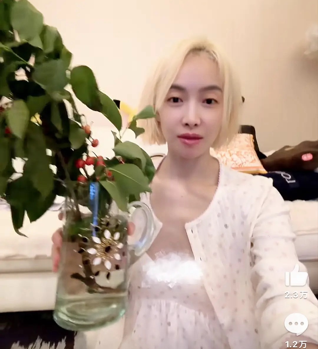 发色不适合她，也可能是眉毛的原因。话说她87年的，这样已经不错了吧。