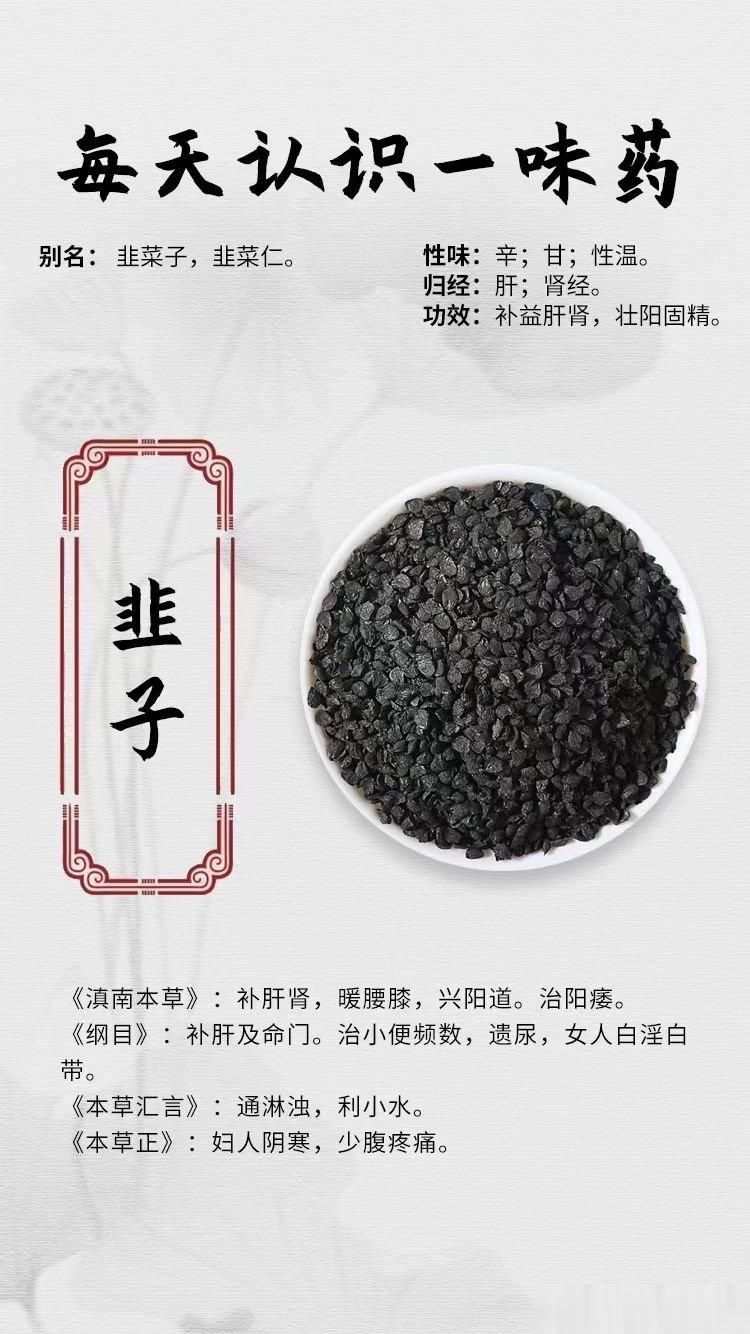 #每天一味中草药##国医的精诚力量# 【每天认识一味药】[鲜花]韭子✔别名： 韭