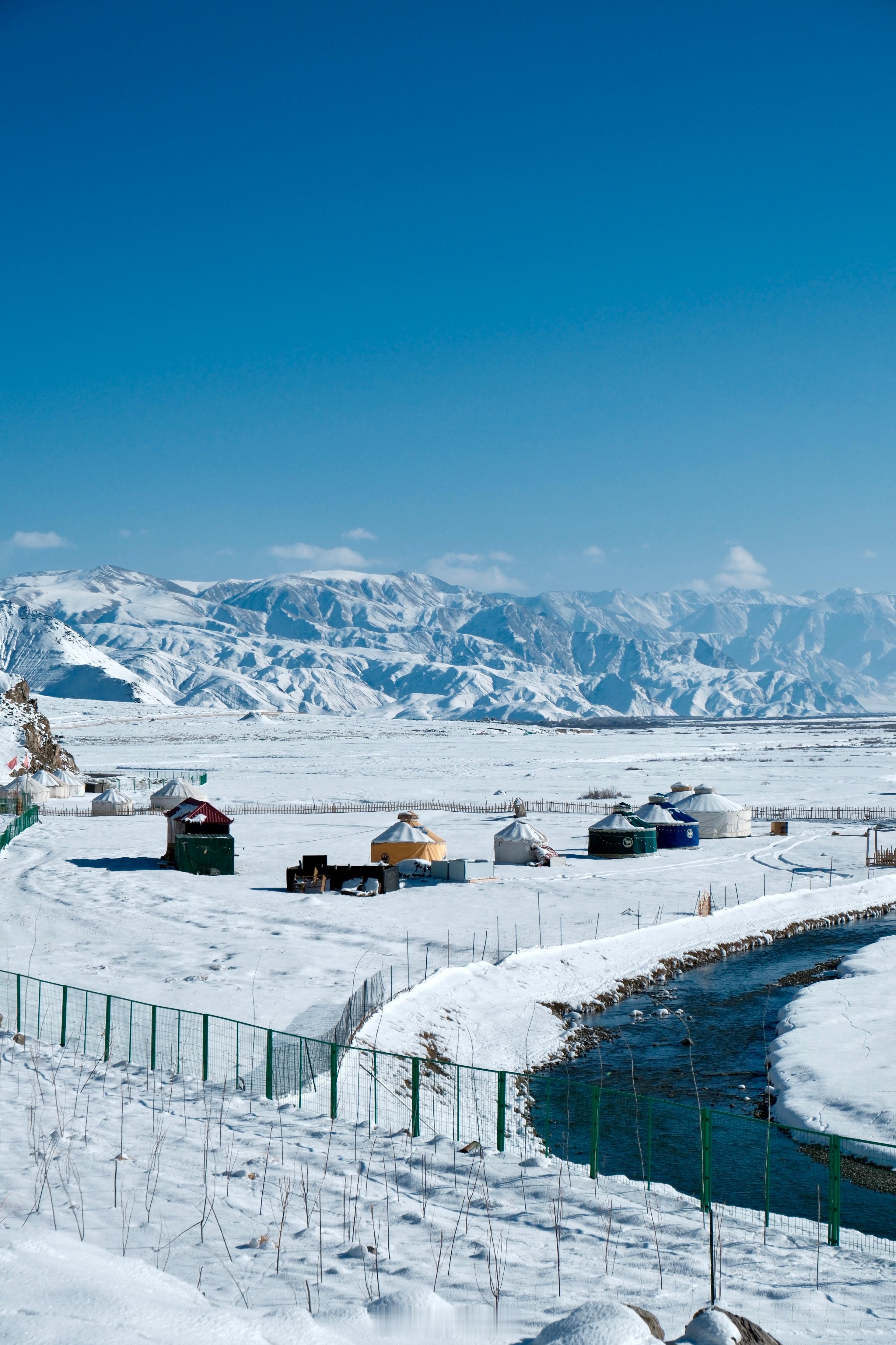 在去托格伦夏村路上遇到阿米尔湿地雪地上的脚印大部分都是牛马的[喵喵]牛牛会慢悠悠