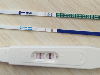 六个月还没拍完，大女主一天到晚旷工干嘛呢 ​​​