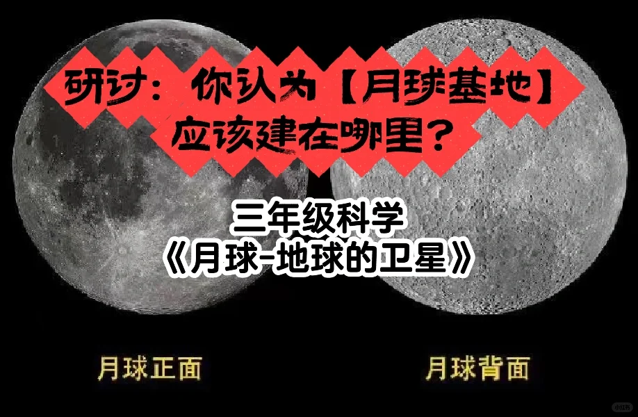 感觉像一群小蚂蚁在讨论改变世界