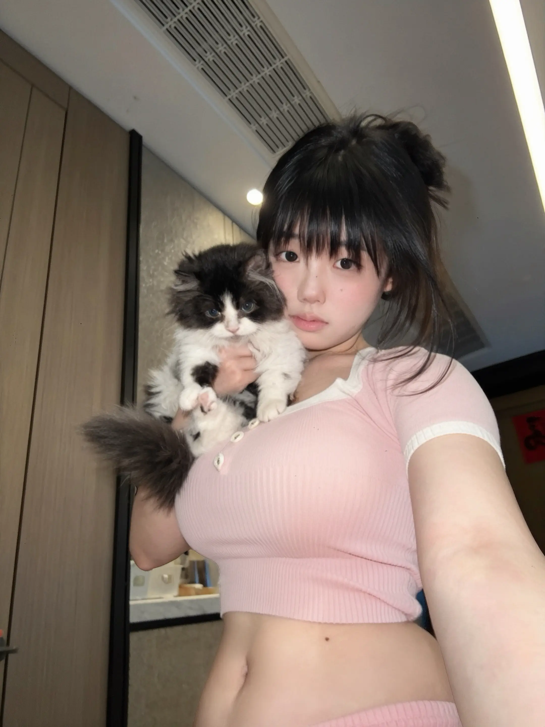一张。
