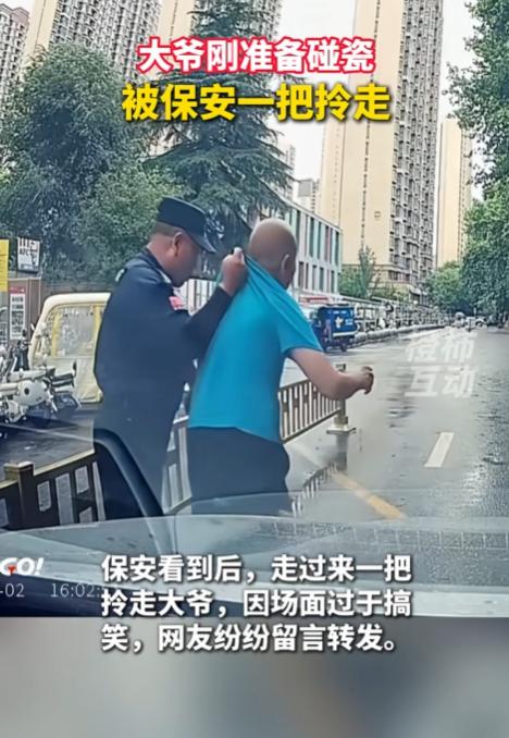 笑不活了，山东，一位大爷停在一辆汽车面前，刚准备倒下去碰瓷，没想到被附近的保安看