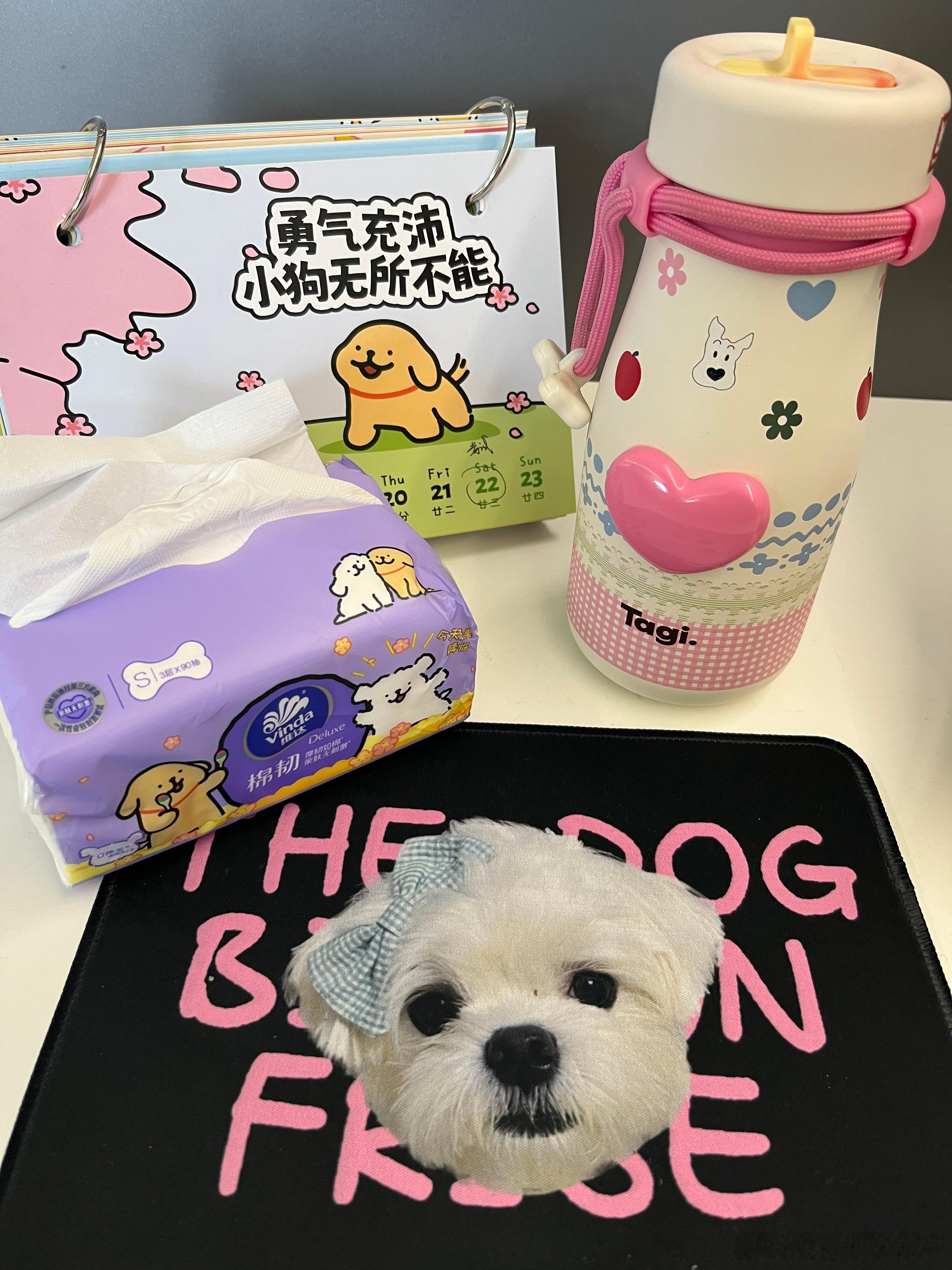 小狗们陪我上班[奋笔疾书]  ​​​