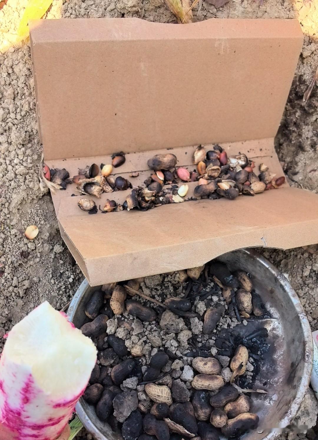 泥巴地里烤花生，儿时的味道，怀念逝去的青春。