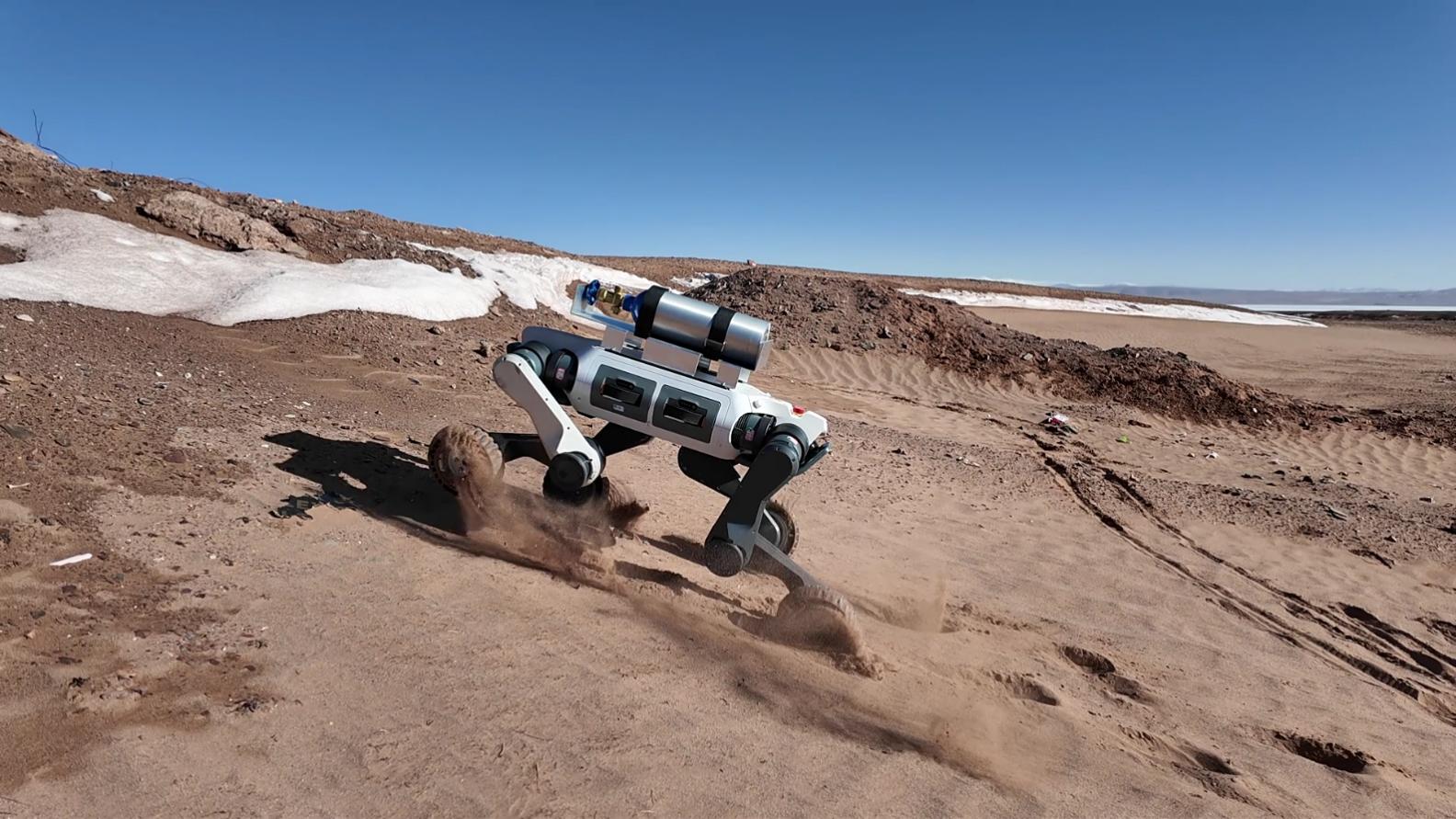 全球首只“机器藏羚羊”！云深处科技机器狗深入可可西里腹地