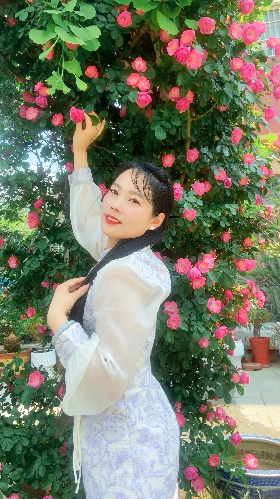 暮春浅夏，蔷薇盛放，人间温柔又浪漫……