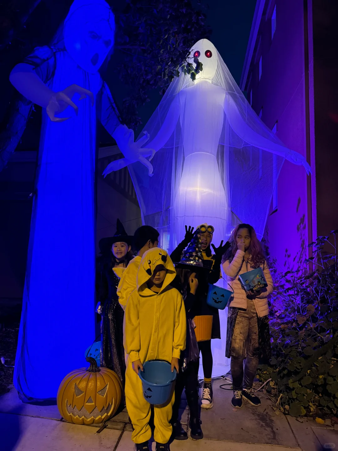 德牧：妈你看我吓人不