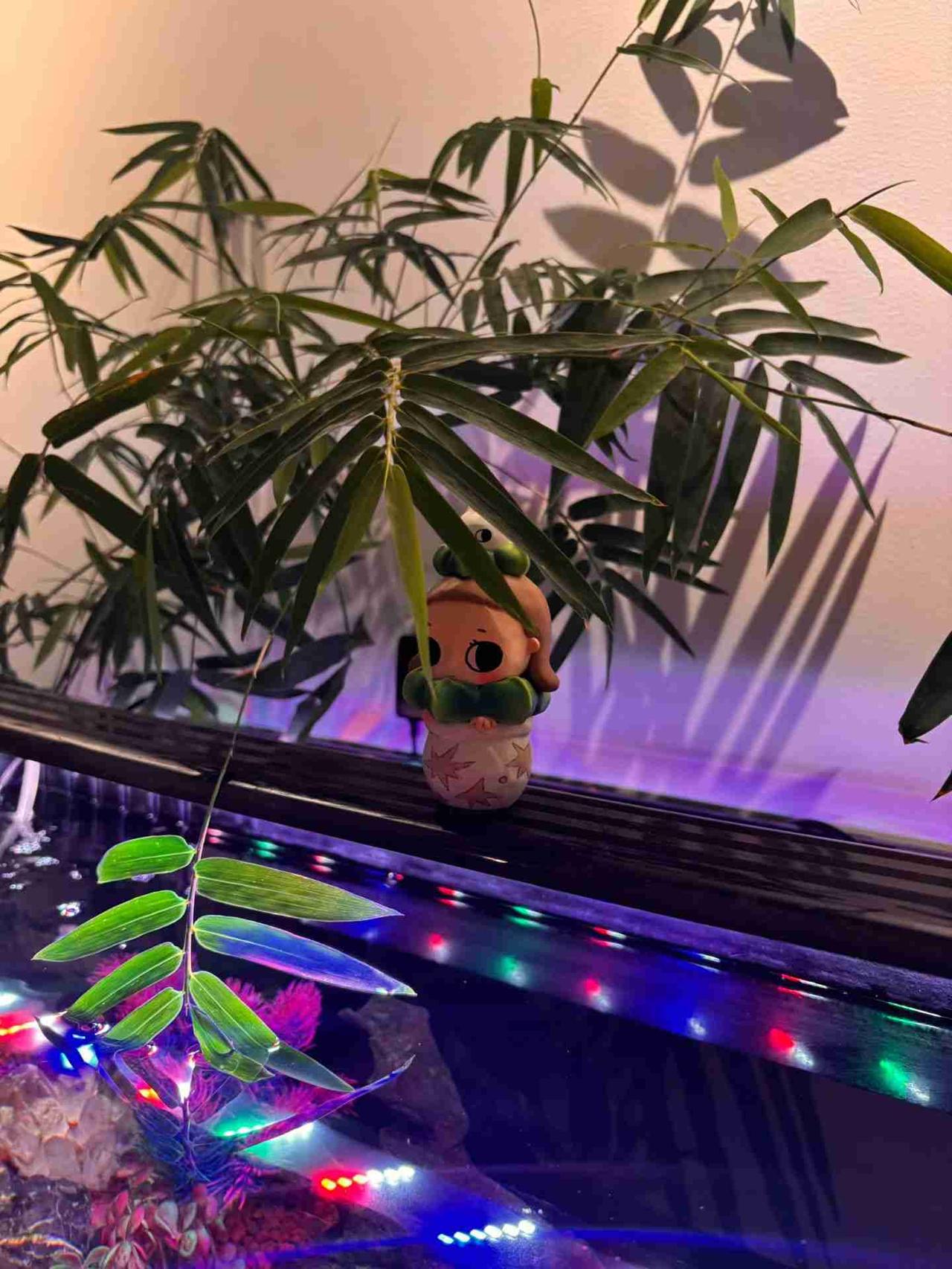 我的今日状态：💰期待暴富
我这里的天气：☀️晴天