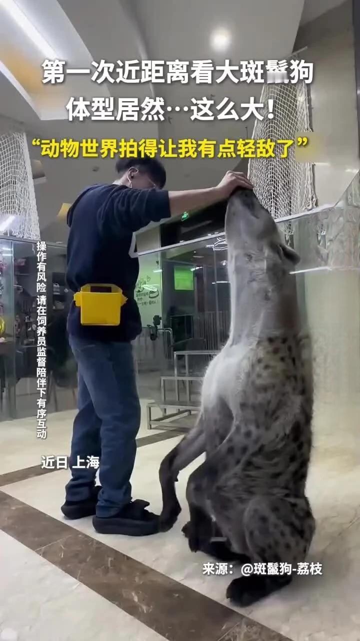 全国首部“伴侣动物”立法草案突然消失！离截止只剩3天，官方链接已失效



离征