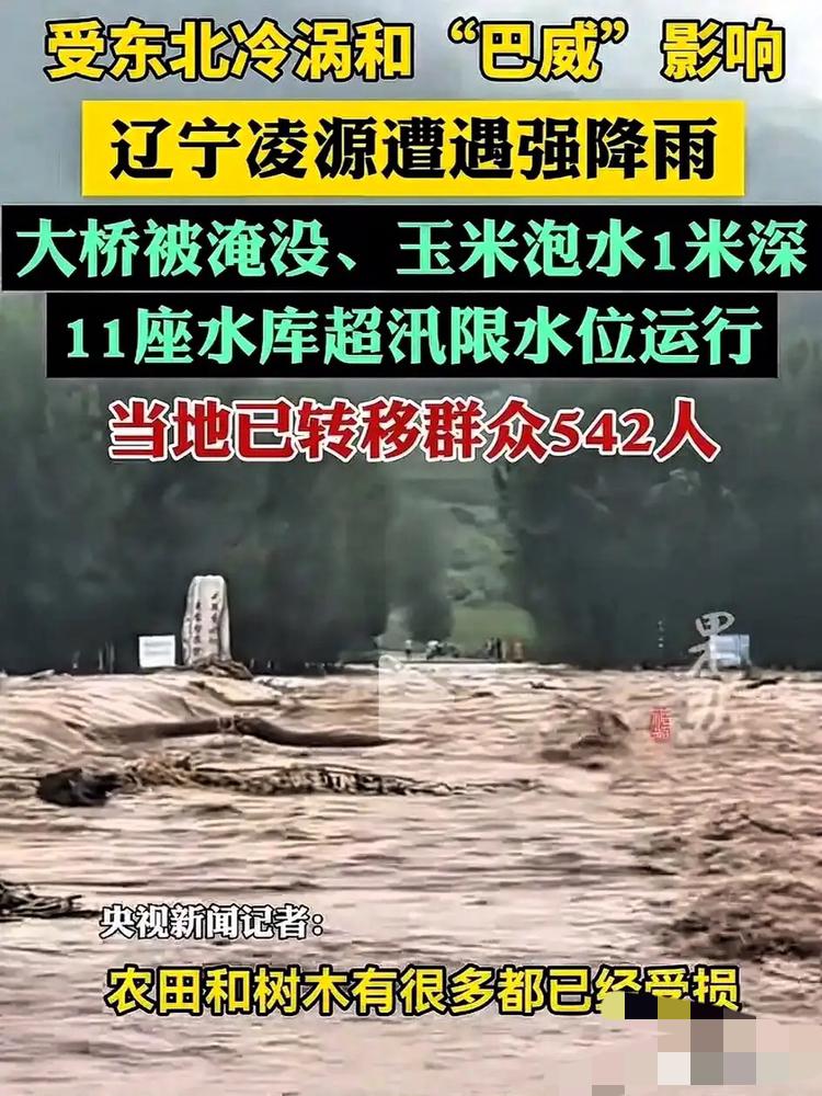 浙江人懵了，
江苏人也懵了，
估计连辽宁人自己也懵了，大家怎么也没想到，本来应该