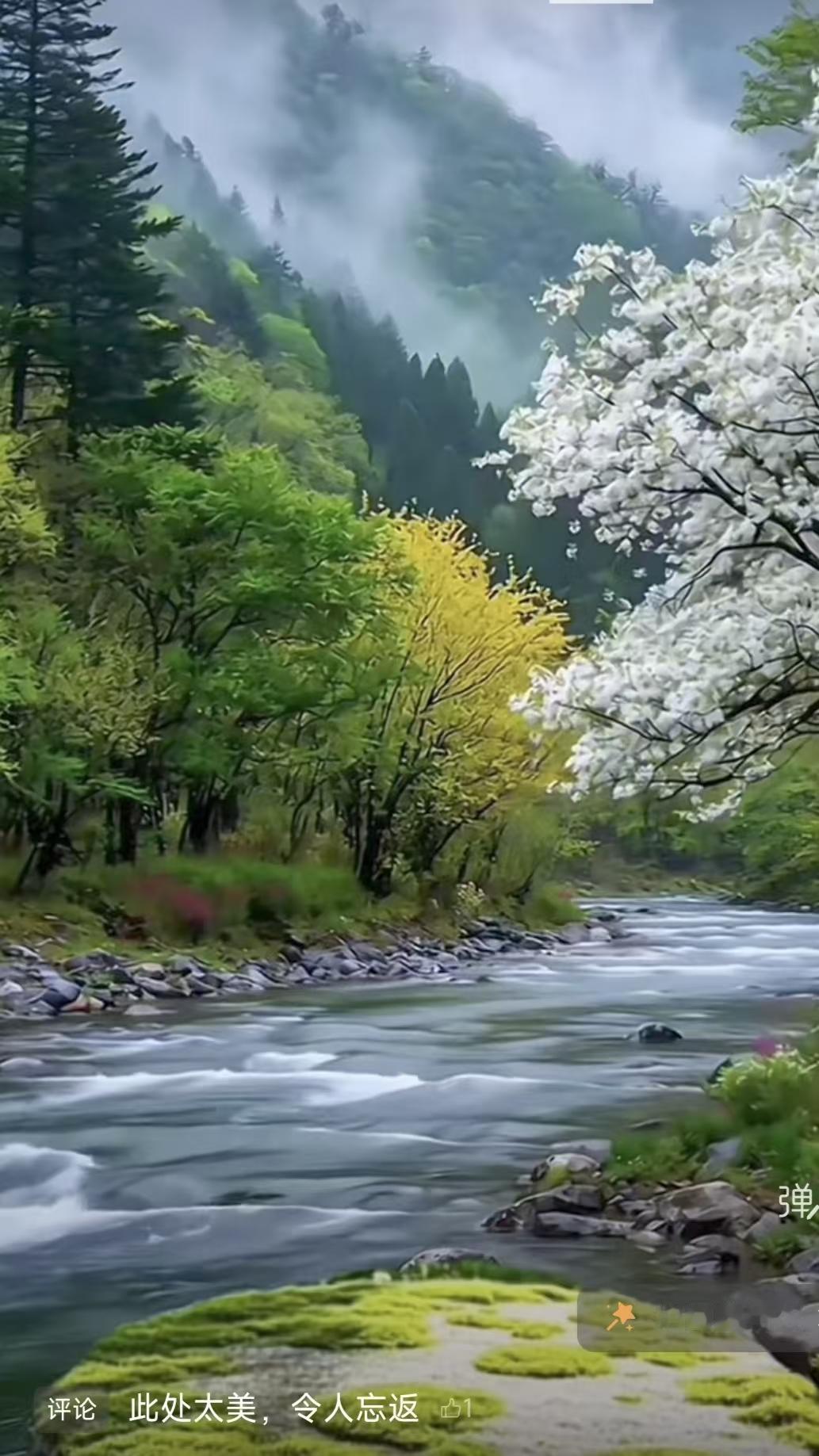塞鸿秋·悟生 
浮生难尽周全意，
苦衷万种空相忆。
尽心莫负平生愿，
量力且看山