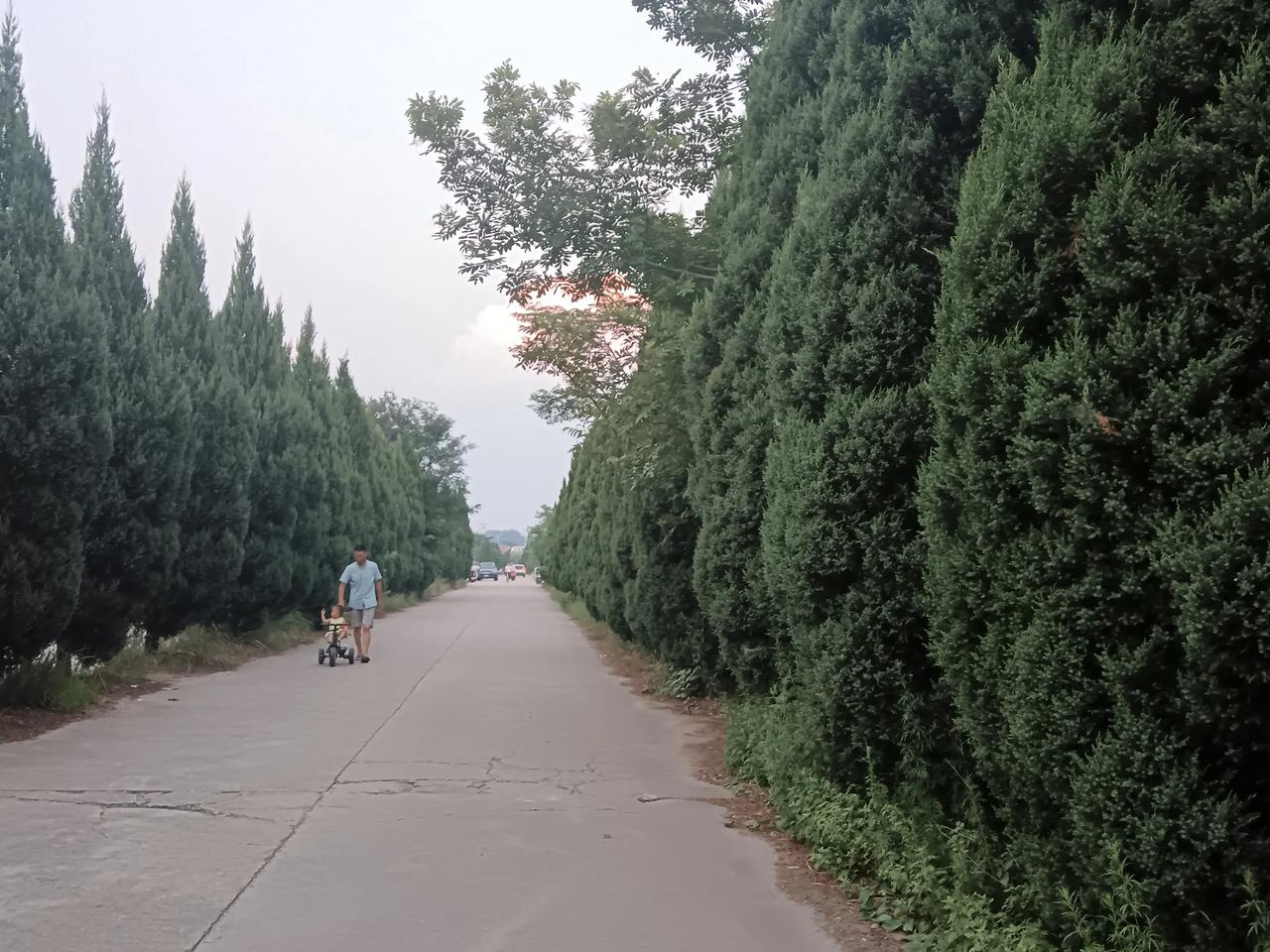 山水画廊伴我行   豫南水乡坝上游‌

      暮色漫过鲇鱼山水库的大坝时，