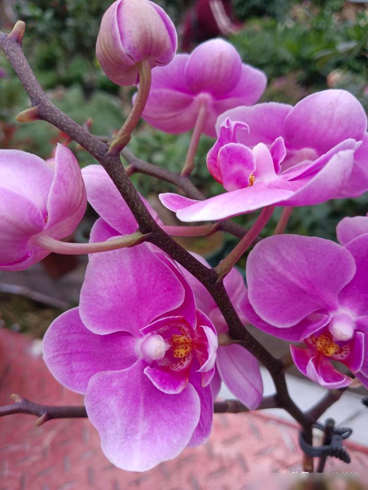 大家都是女人，问大家一个隐私的问题，反正谁也不认识谁，请如实回答。

看了姐妹的