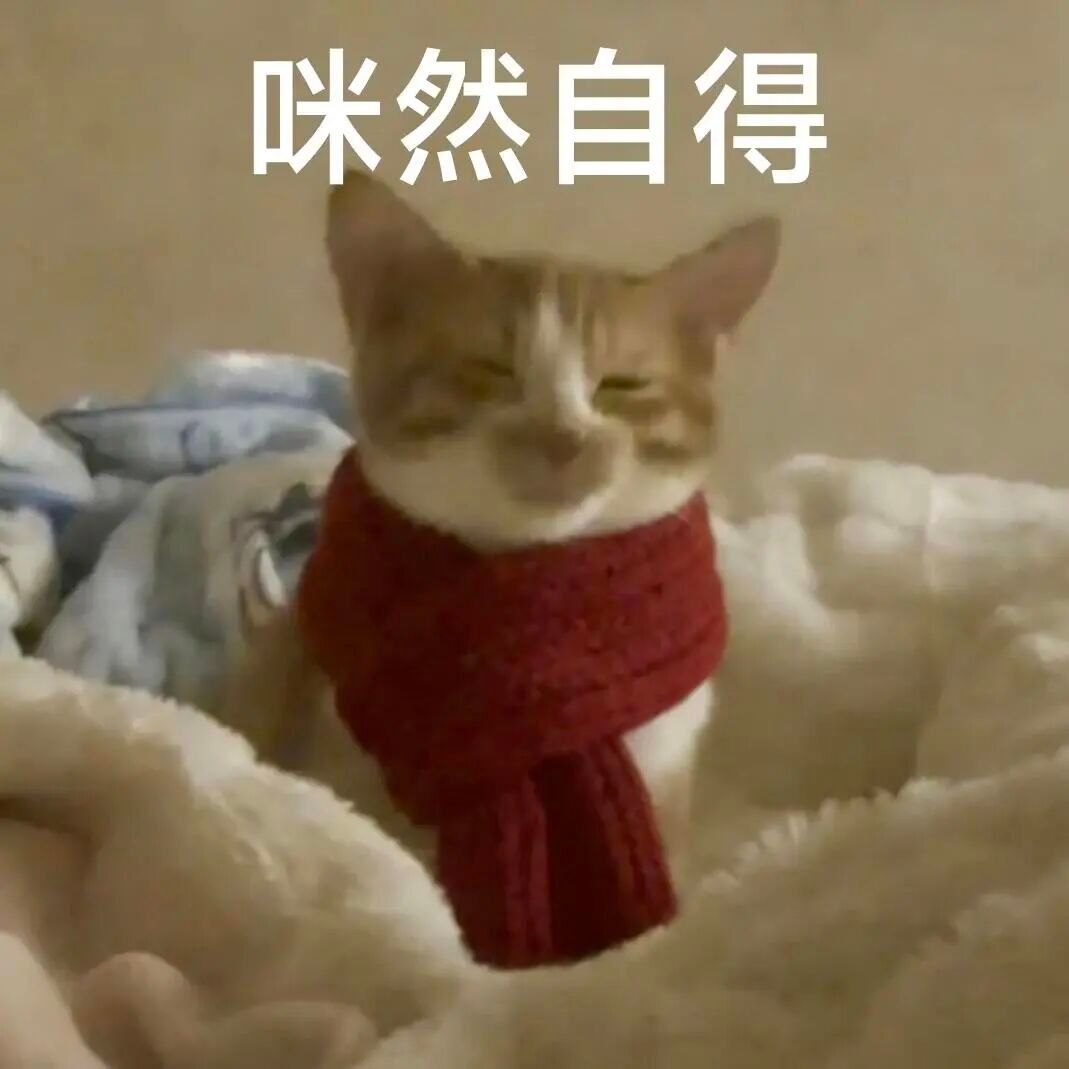 早☕️，太困了太困了太困了… 