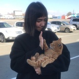 芒枝热聊社会