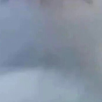 0000每一个人都可以成为生活中的阳光。用我们的微笑、用我们的善良、用我们的热情