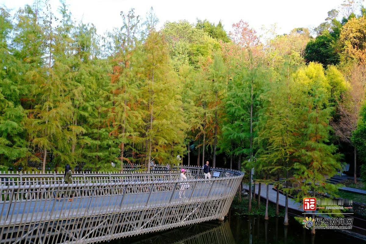 【福道藏惊喜 四季风光随机“播放”】

福州福道竟藏着跨季浪漫！步道两侧草木郁郁