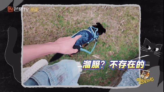 敖子逸没人告诉我遛小狗这么累 敖子逸遛狗累到怀疑人生的样子太真实了！小狗精力旺盛