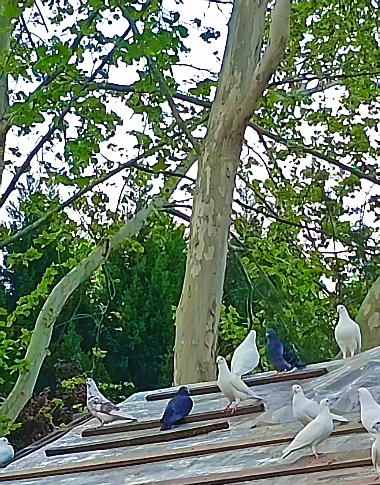 火柴在你们老家叫什么哈哈哈哈哈！你们都没有听过吧！我们这说“洋活”