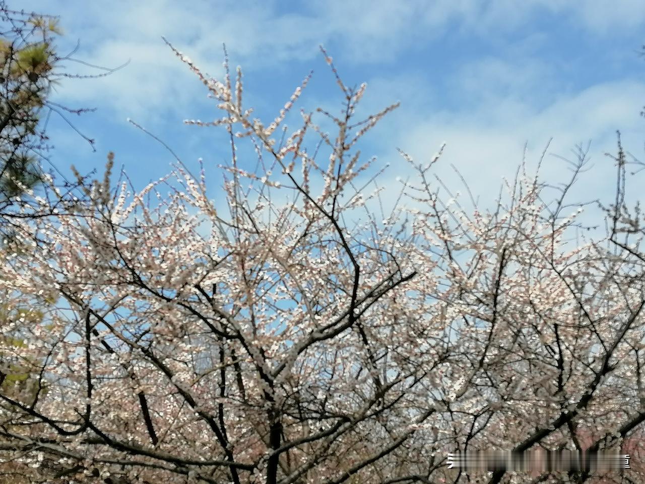 无论股票的价格如何，股市还有一条不变的定律就是，股票的价格始终是围绕着股票（企业