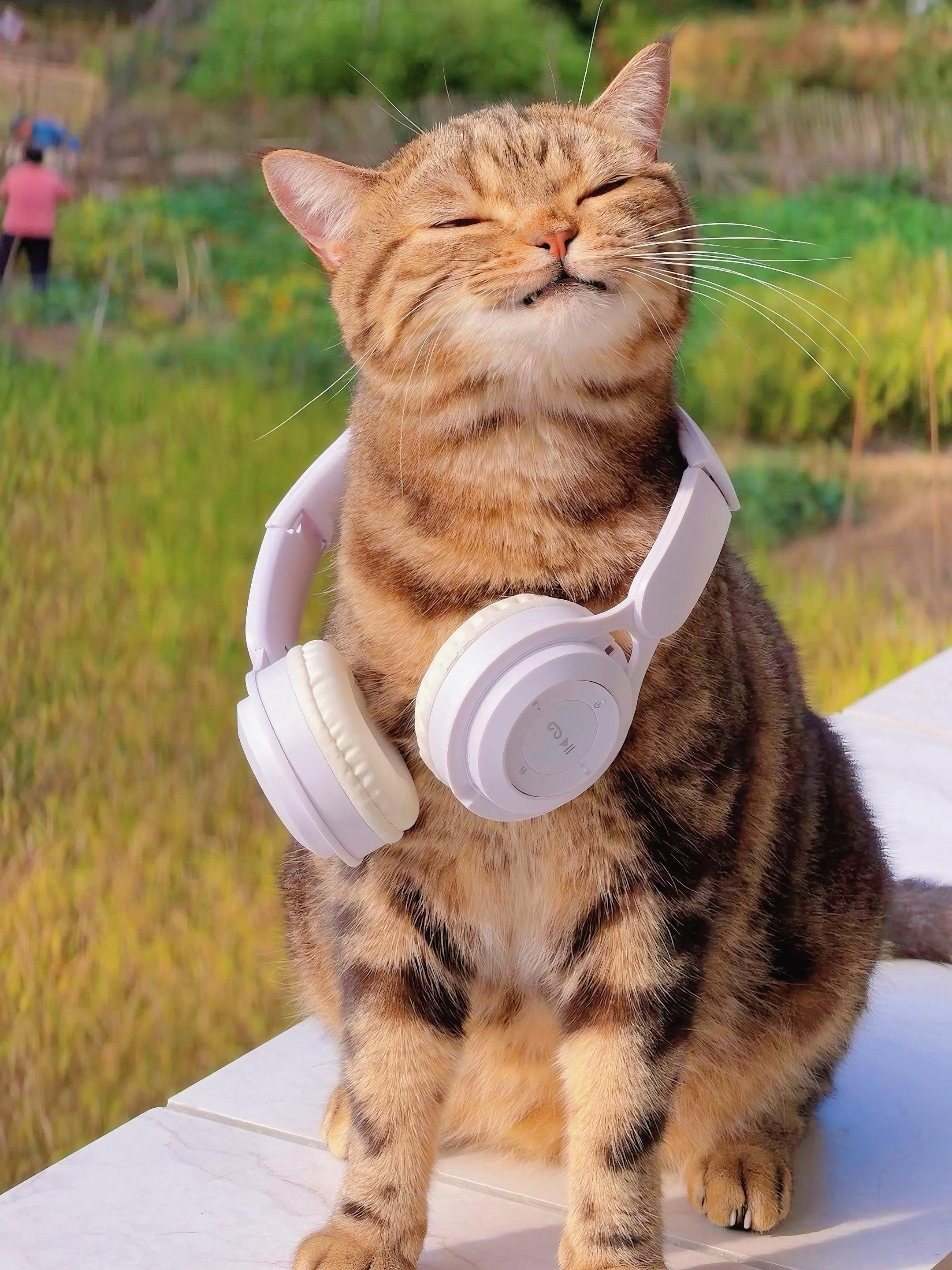 享受当下，及时行乐。