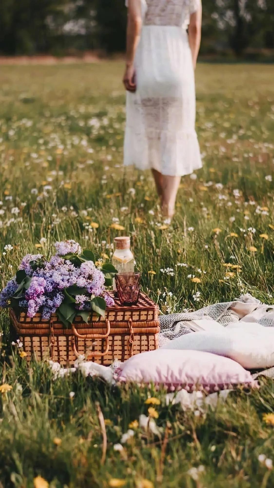 春天发芽，夏天茂盛，秋天凋零，冬天闭藏。周而复始，年复一年！野火烧不尽，春分吹又