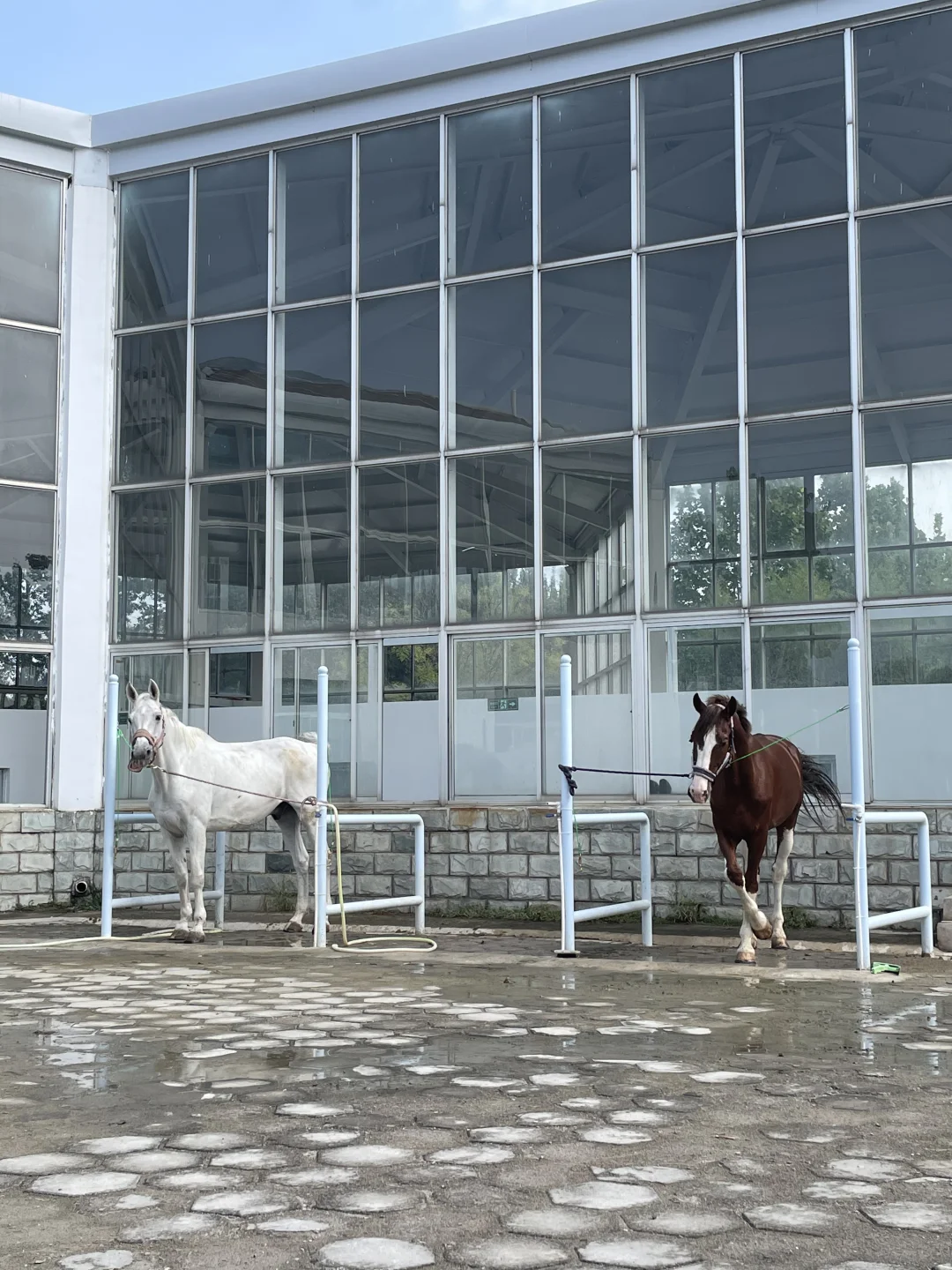 卧龙凤雏同时出现了