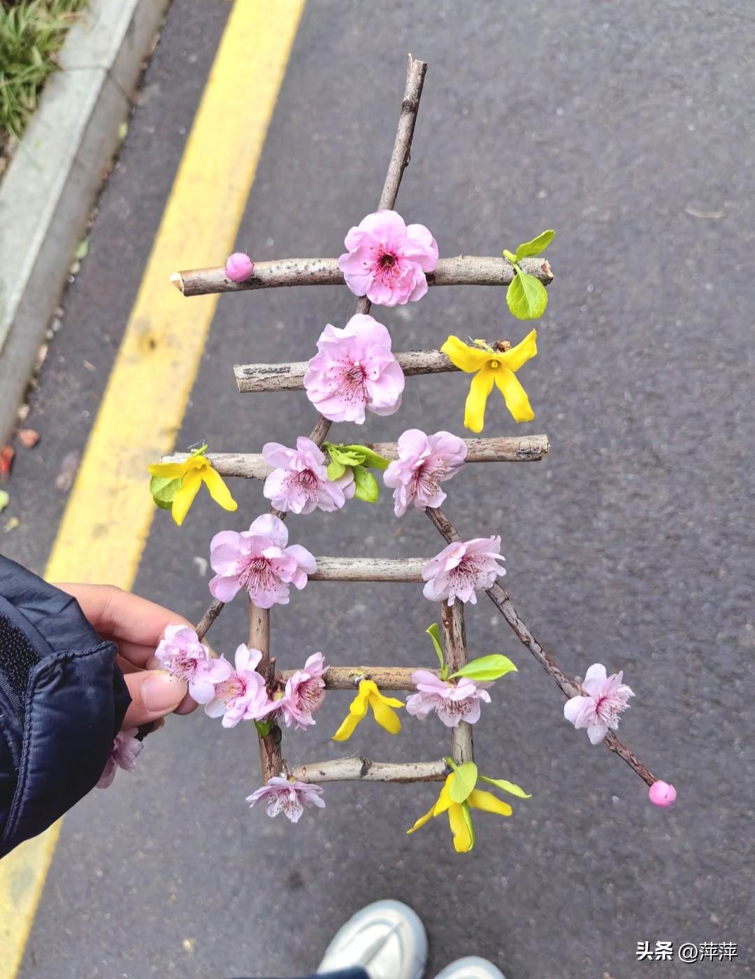 春日生活打卡季春日暖阳，吹开了美丽的花朵。