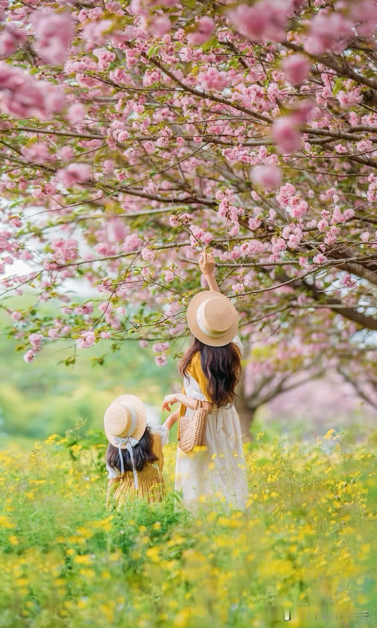 春日的美好，像一封刚拆开的温柔信，藏着花开的软、风的轻语，还有落在肩头暖暖的阳光