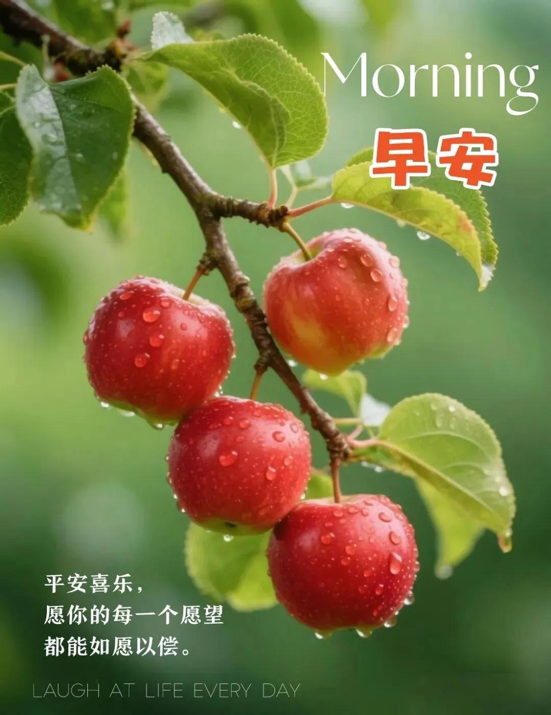 私域向善，一群对的人，一起做对的事