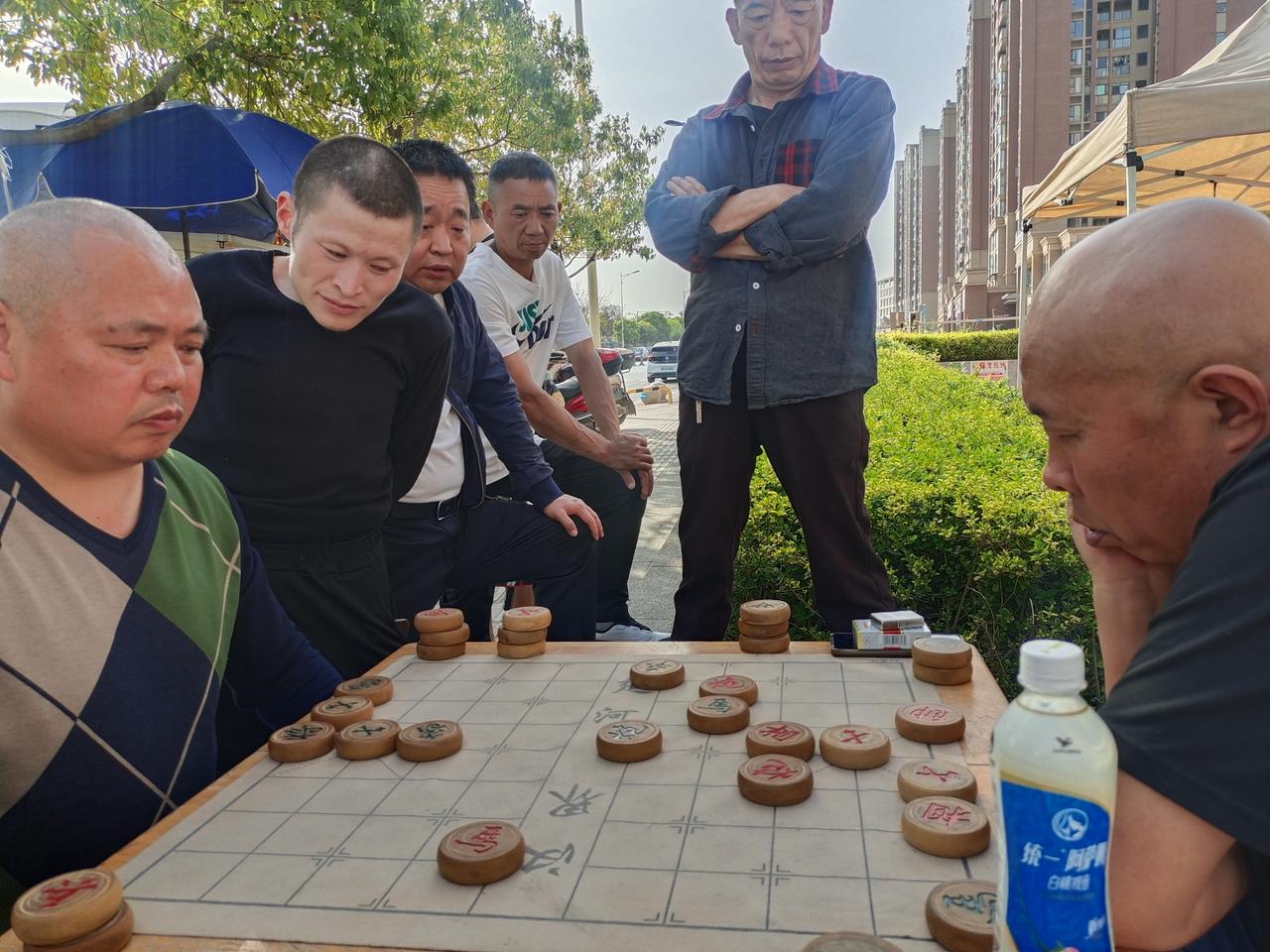 坝坝棋的乐趣
今天下棋了吗
下班回家，刚下公交，便被树荫下的热闹吸引，不自觉走过