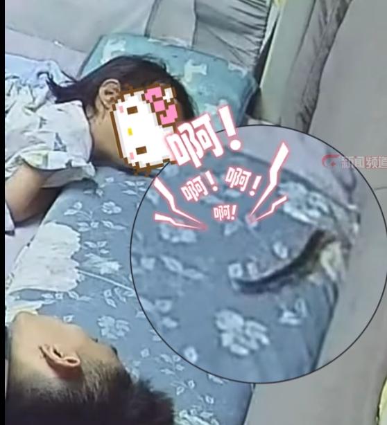 很多人家里看着干净，其实暗藏隐患，尤其是晚上睡觉的时候，真的防不胜防。

最近就