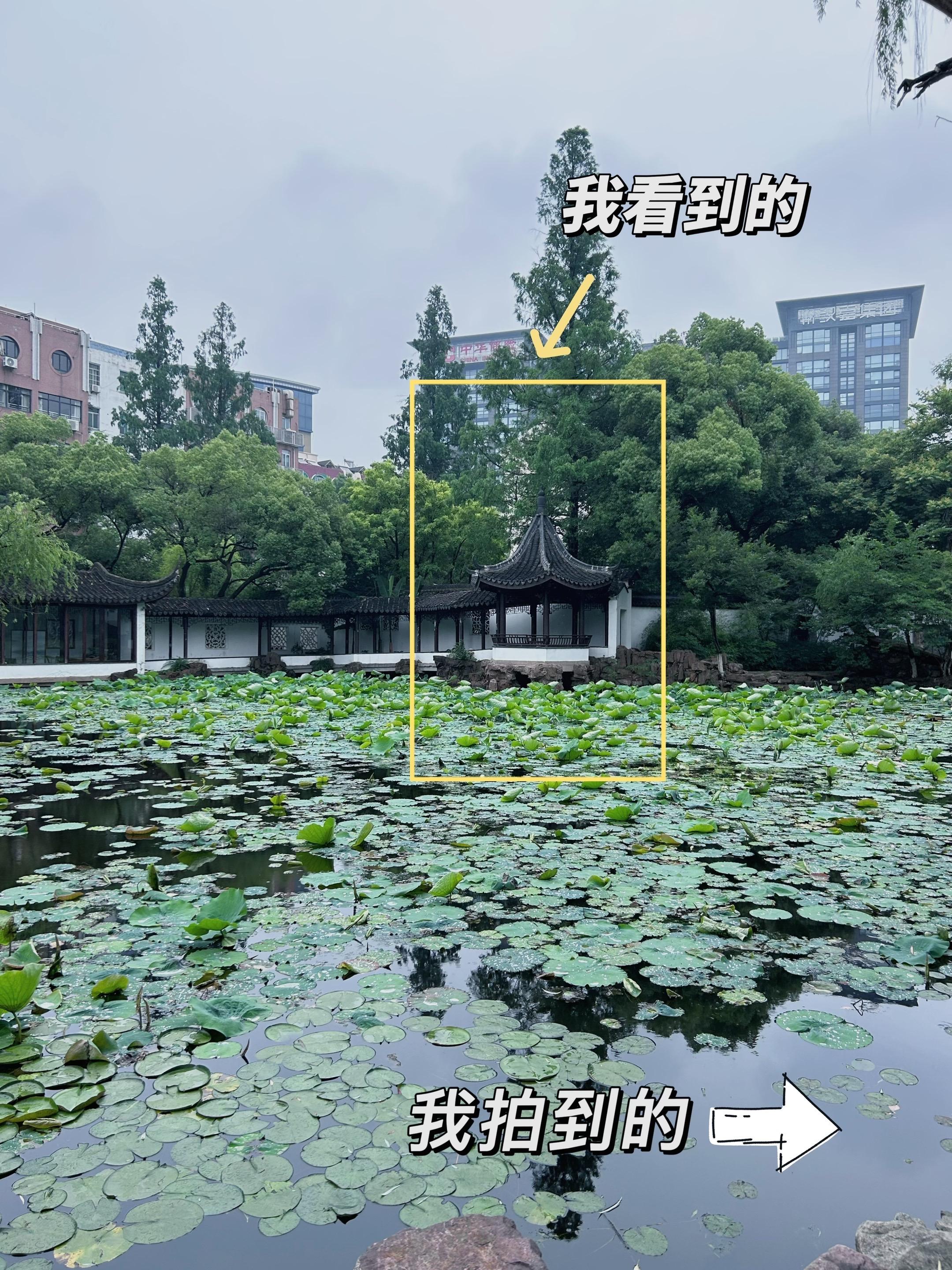 二次构图的重要性｜我看到的🆚我拍到的。今天分享的是雨后清冷风调色 适...