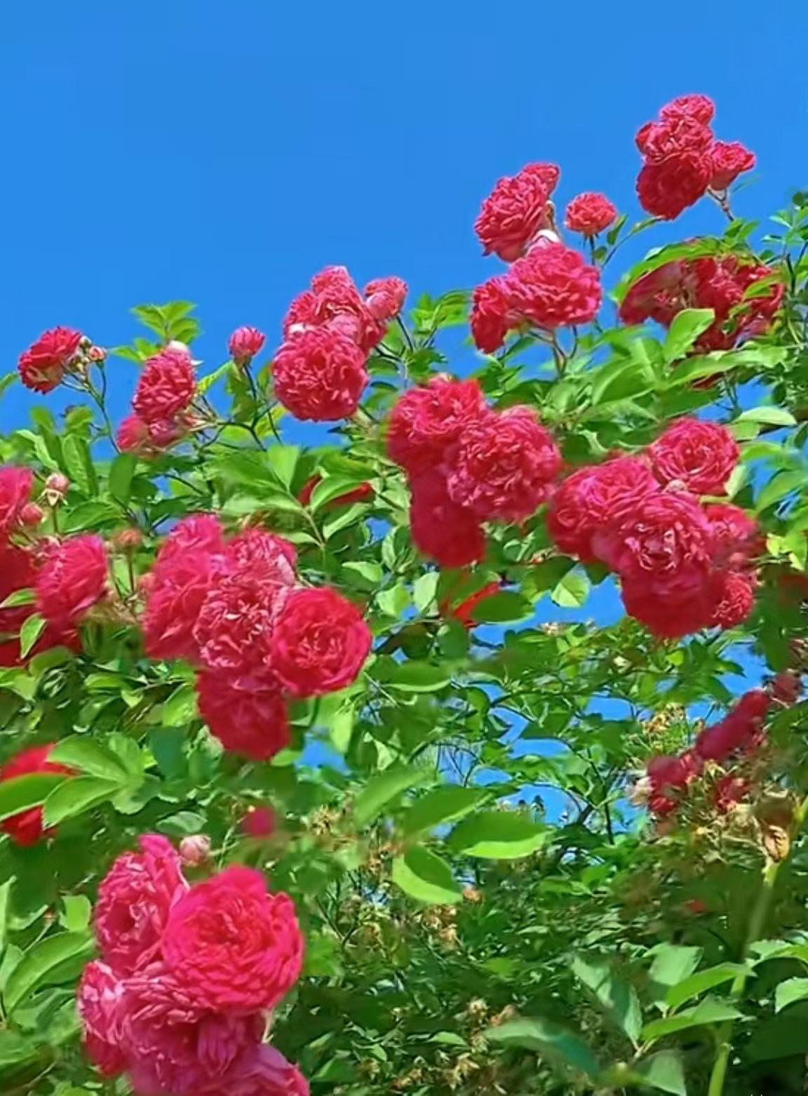 分享一下你随手拍下的照片