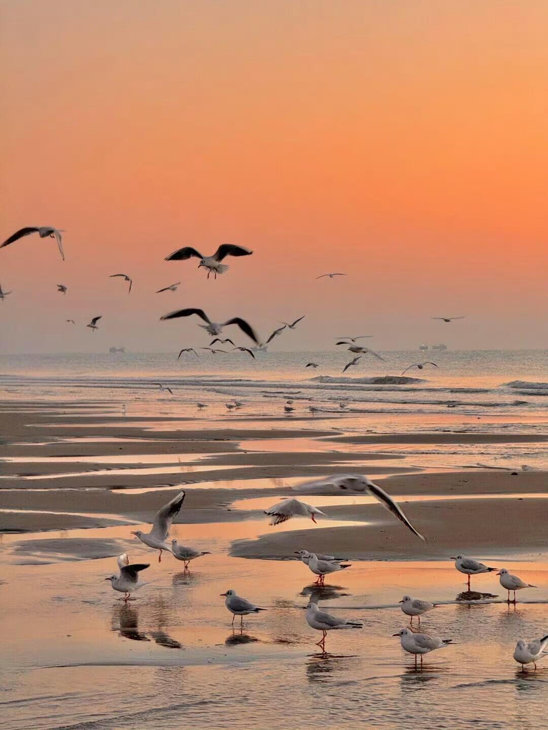 任何关系，你给我距离，我还你分寸，你给我珍惜，我必还你值得，这就是人与人之间最起