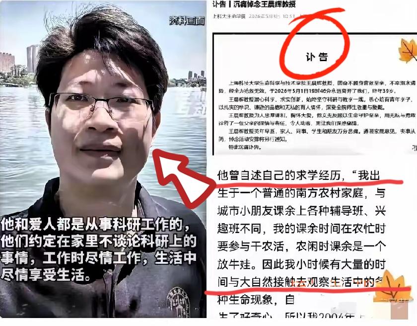5月1日傍晚的上海黄浦江，王晨辉教授7岁的女儿意外落水。他连犹豫都没犹豫，直接纵