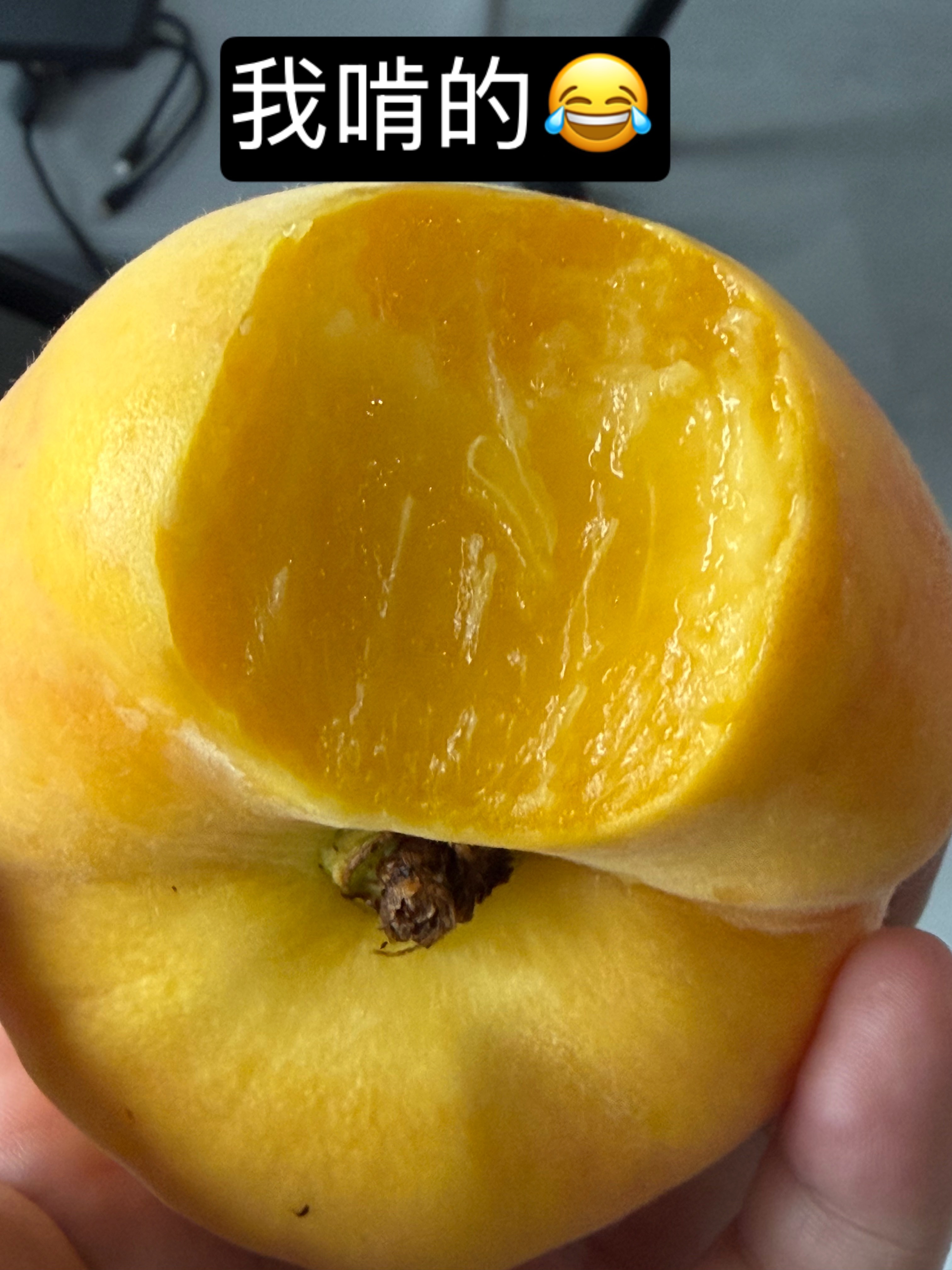 明天我们群里有这个蟠桃，我那天去看品，现场吃了，很好吃耶，没有放软的状态下就是很