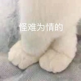 鹏泽爱逛null