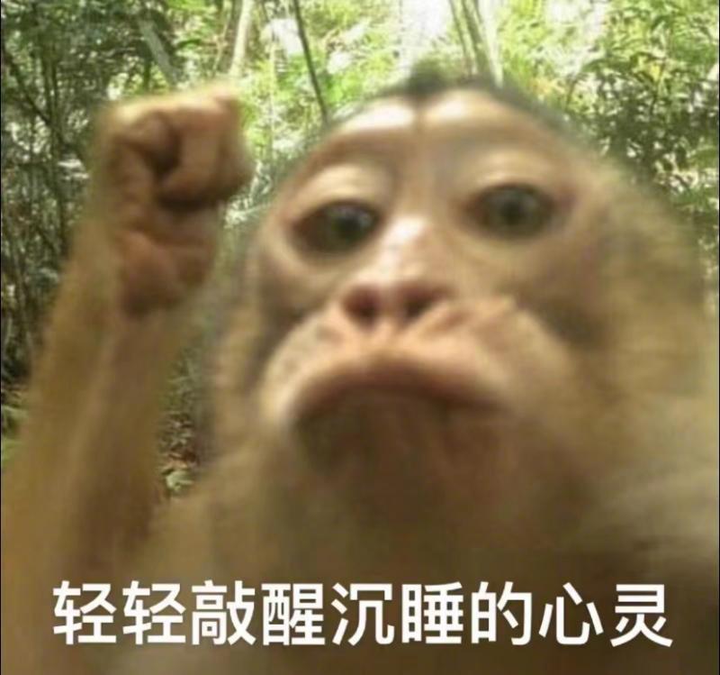 🔻对了，今天有关于🐒的好消息。 