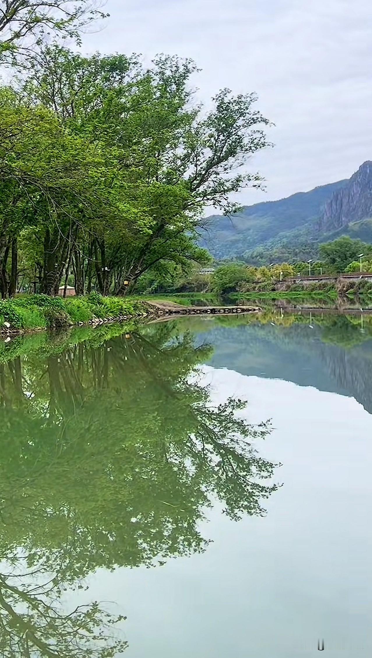 晒图笔记大赛静谧湖面倒映绿意，自然美景尽收眼底