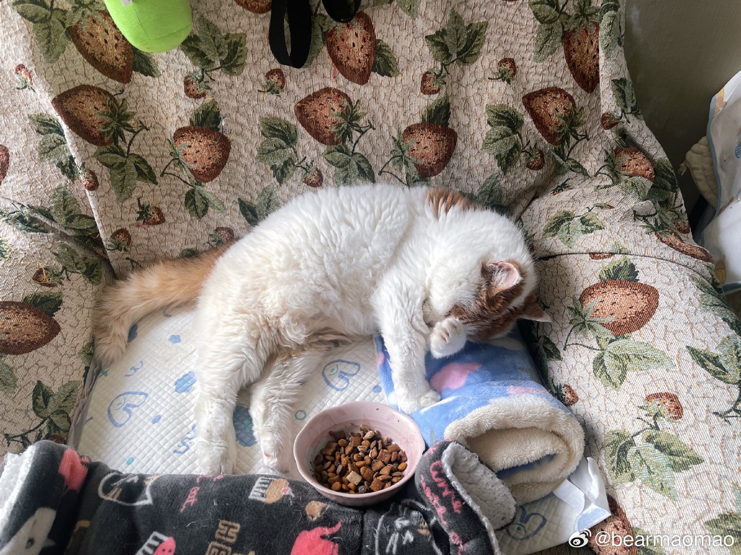 进入四月了呢我们