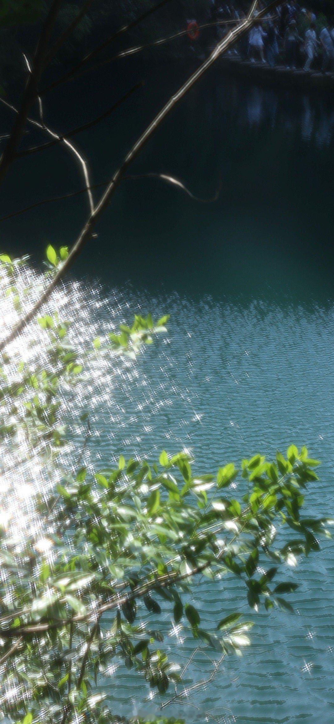 做自由的鱼 游遍千山万水  ​​​