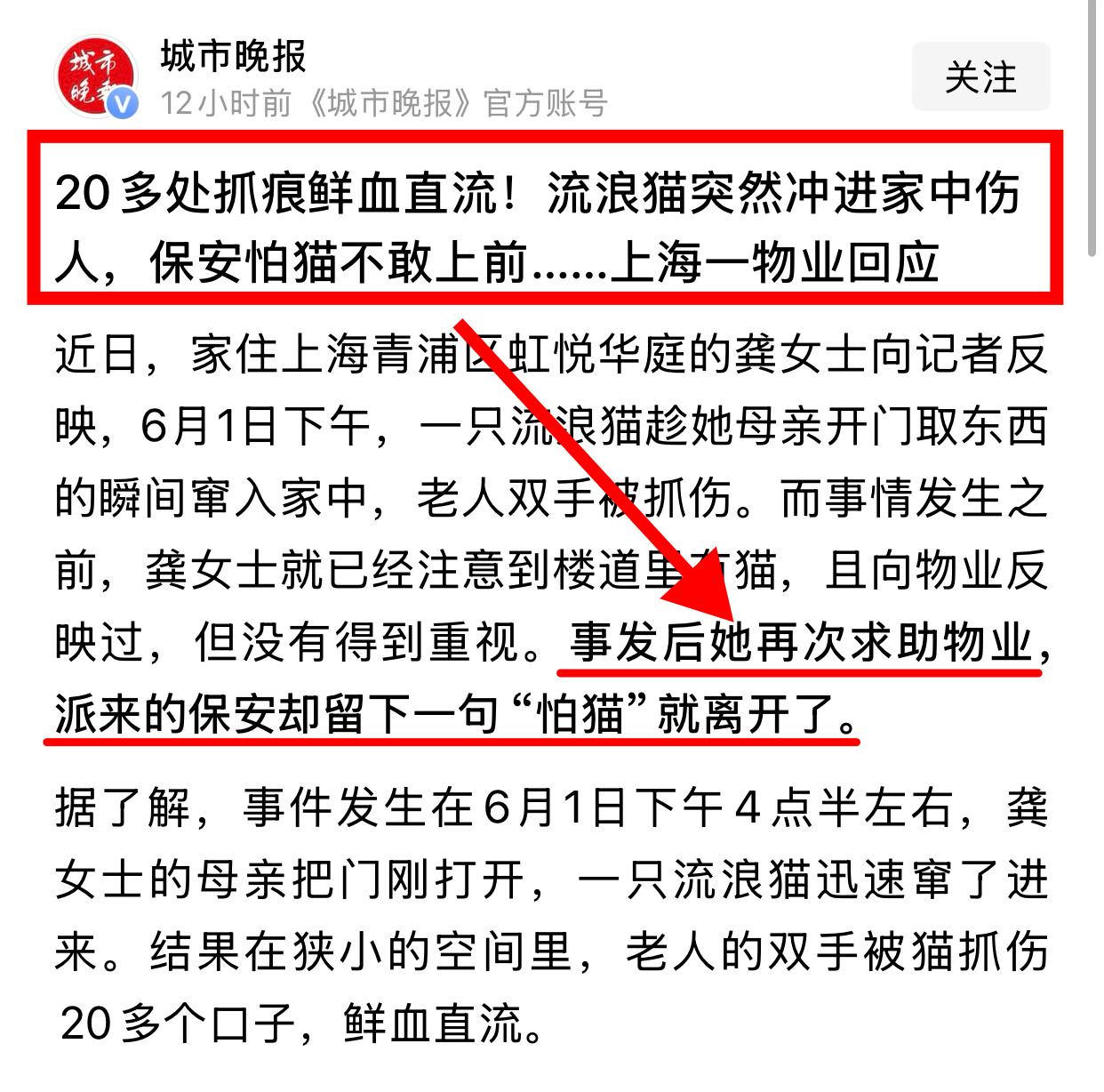 上海青浦区，一位小区保安以“怕猫”为理由拒绝帮助业主驱赶钻入家中的流浪猫，反而是
